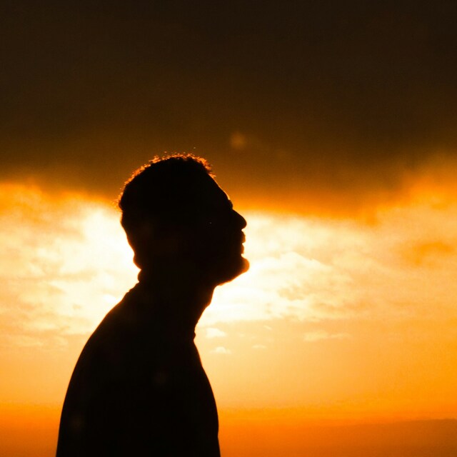 Silhouette of a person gazing into the sunset, symbolizing the search for a new career path
